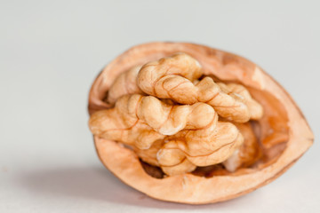 Noix et cerneaux sur fond blanc