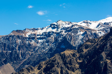 Fototapeta na wymiar Colca Canyon, Peru,South America.