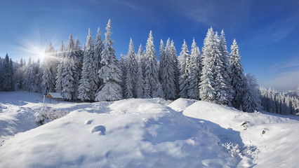Winter fairy tale after heavy snowfall in the mountain forest