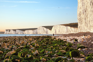 Birling Gap beach and Seven sisters white cliffs - 61347841