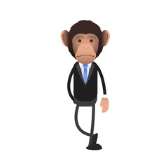Young business monkey over white background