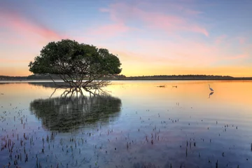 Zelfklevend Fotobehang Zonsopgang mangroveboom en witte zilverreiger © Leah-Anne Thompson