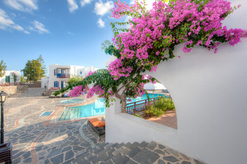Bougainvillea flowering on a Greek villa