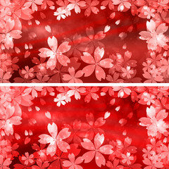 Fototapeta premium 桜 さくら 背景