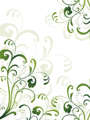 floral,grün,flora,blatt,blume,frühling,design,rahmen,vektor,oliv