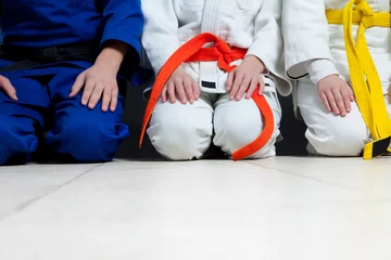 Photo sur Plexiglas Arts martiaux Judo