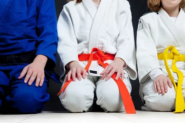 Photo sur Plexiglas Arts martiaux Judo