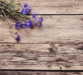 Obraz premium knapweed on wooden background