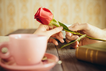 Romantic man giving rose to woman