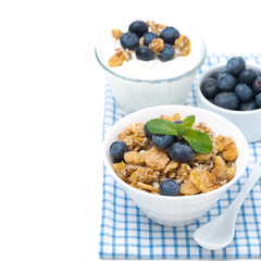 delicious muesli, fresh blueberry and homemade yogurt, isolated