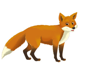 Cartoon animal - illustration for the children