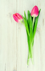 two pink tulips on white wooden surface