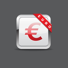 Euro Sign Vector Icon Button