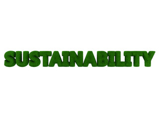 Sustainability word isolated on white background