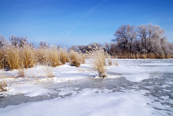 Fototapeta premium Winter landscape with trees and frozen river