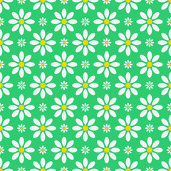 seamless floral pattern.floral background.white camomiles  on a