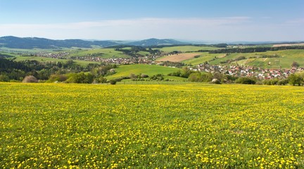 panoramic view of Horni Lidec village