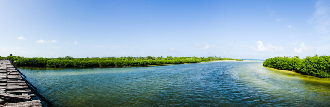 coastal scenes from the mexican caribbean