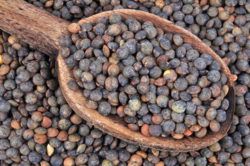 Cuillère de lentilles sèches
