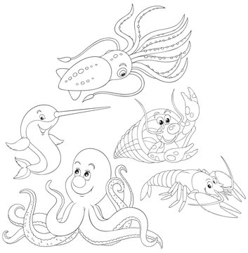 Octopus, crawfishes, narwhal and squid