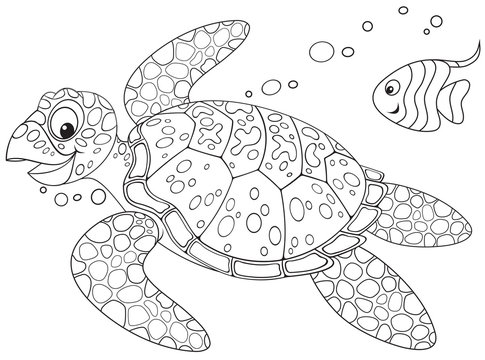Sea turtle and fish