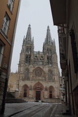 Fototapeta na wymiar Panoramica Fachada Catedral de Burgos