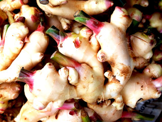 Ginger