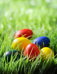 Easter eggs on green grass