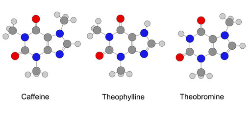 Alkaloids of purine series