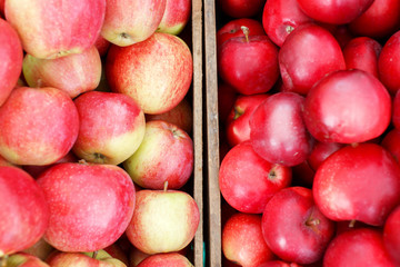 Two crates with different apples