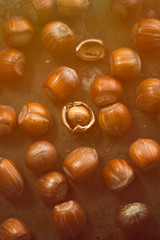 Hazelnuts on the table in rays of sunlight