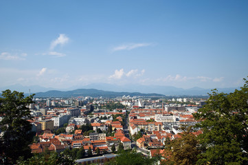 Obraz premium Widok na dachy Lublany