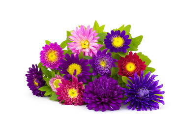 Bouquet of colorful asters flowers on white background