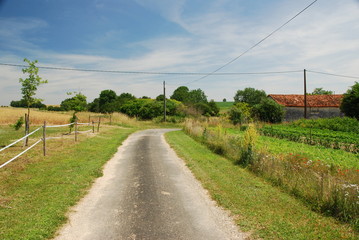 Fototapeta na wymiar Route de campagne à Fontaine