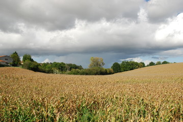 Nuage d'averse en pleine campagne