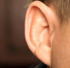 Fototapeta premium ear male. macro