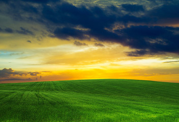 green field