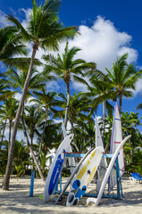 Surfboard on the sandy Caribbean beach in Dominican Republic - obrazy, fototapety, plakaty