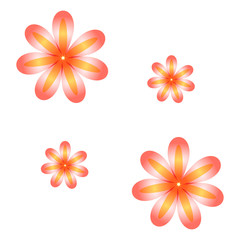 Pattern flowers