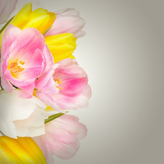 Bouquet of beautiful tulips flowers in vase