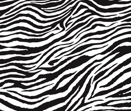 Zebra 1102