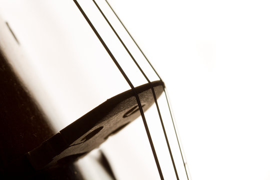Silhouette of a violin
