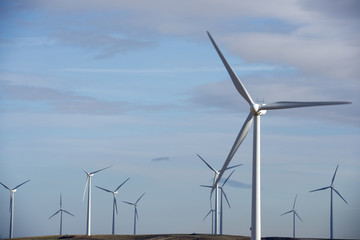 Fototapeta premium wind energy