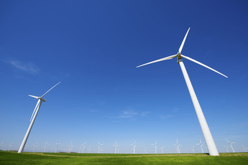 Fototapeta premium wind energy