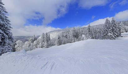 Obraz premium snowy winter landscape in black forest germany 9