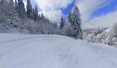 snowy winter landscape in black forest germany 8