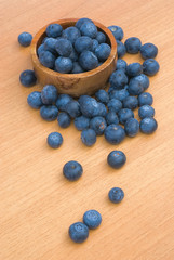 Bilberry