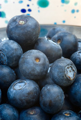 Blueberry