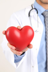 Male Doctor with red heart in his hands, isolated