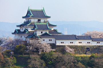 Naklejka premium Wakayama Castle in Japan